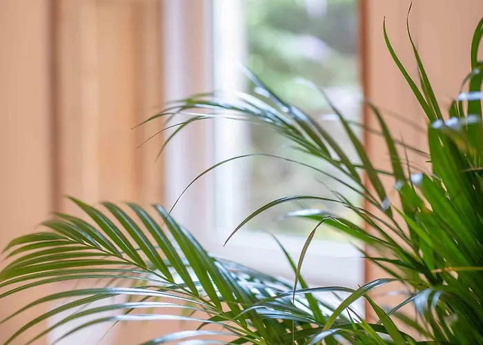 Artists Flat 7 Min To R Mile * אדינבורו