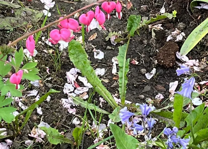 Relaxing, Cozy 1 Double Homestay *