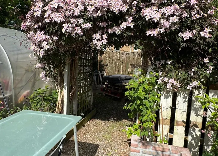 Charming 3 Bed , Private Budget , Free Street Parking , Fibre Optic Internet , Garden Bed & Breakfast Edinburgh