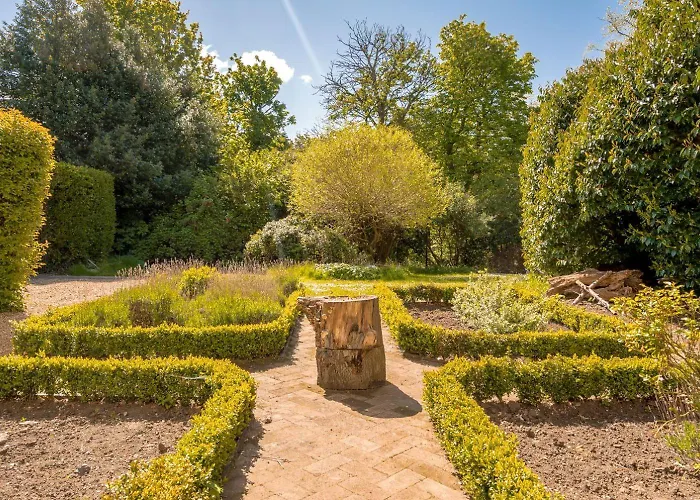 Blossom Mansion Edinburg