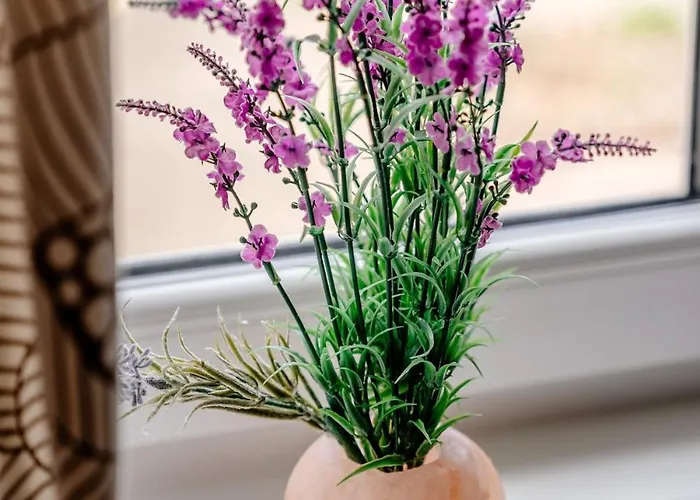 דירה Cosy 1br Sleeps 4 Quiet