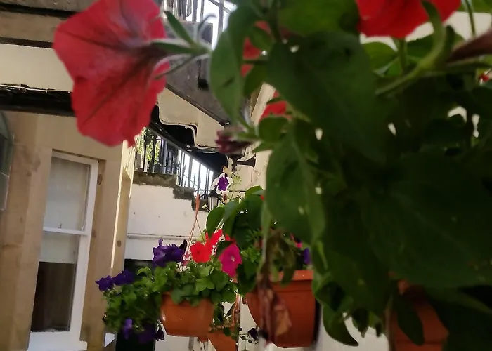 Grosvenor Gardens מלון אדינבורו