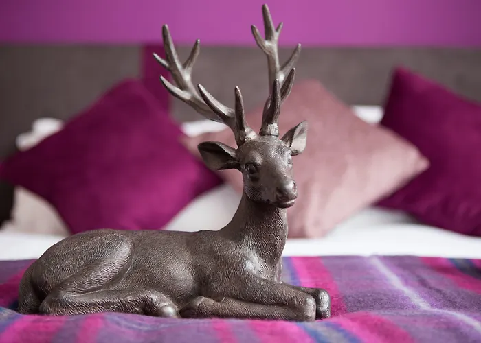 The Spires Serviced *