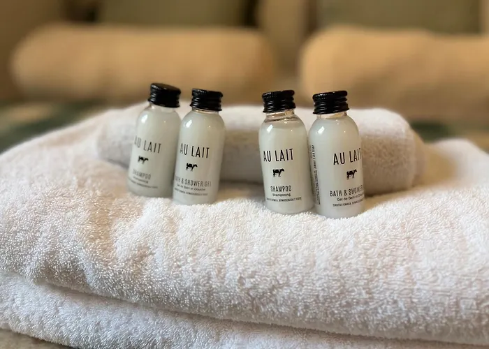 Daire Stylish 1 Bed Centre Edinburgh