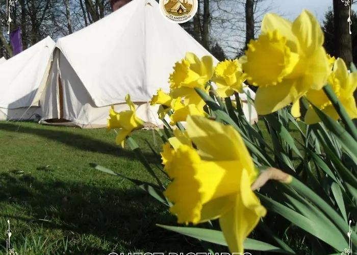 Festival Glamping By Social *