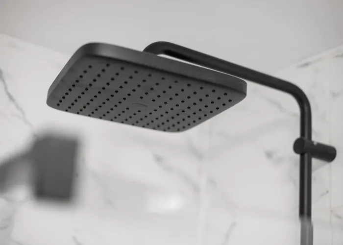 Spacious And Apartment