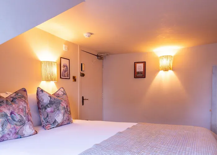 38 Bide Collective אדינבורו