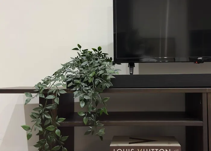 דירה Cosy Modern On Leith Walk אדינבורו