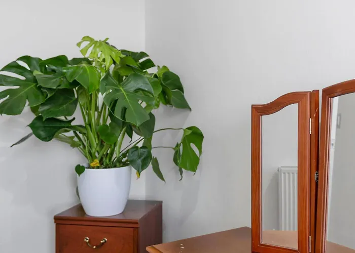 Bright 2 Bedroom Flat On Leith Walk * Эдинбург