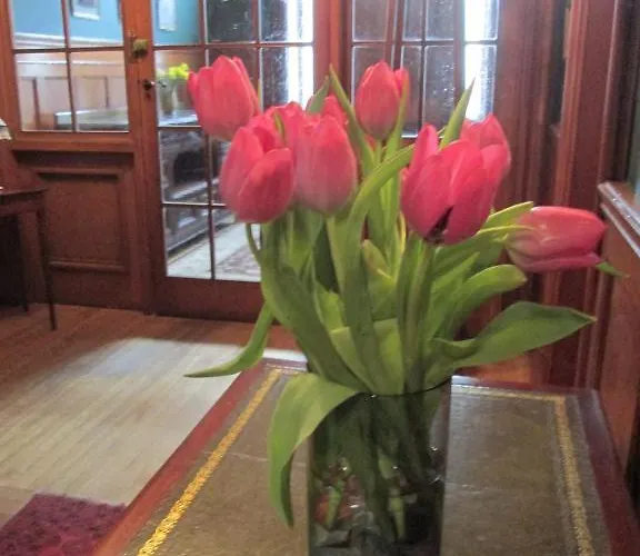 22 Chester Street 4*