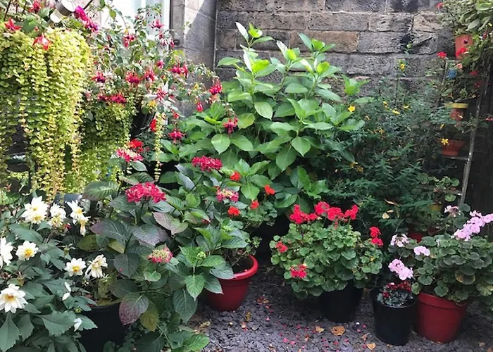 22 Chester Street Edinburgh