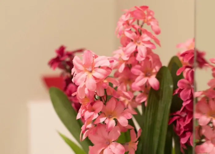 Montgomery - Crighton