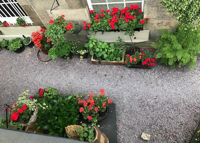 Konukevi 22 Chester Street 4*