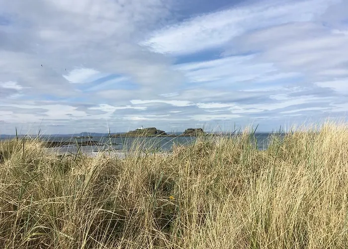 شقة Cozy With Character Vibrant Style Flat At Leith Links Park إدنبرة