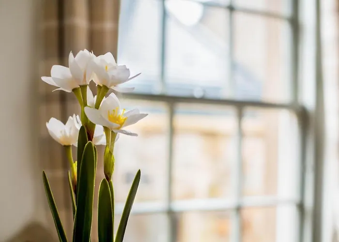 Διαμέρισμα Grassmarket *