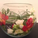 Ailsa بيت ضيافة إدنبرة