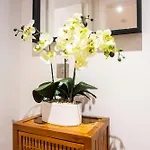 Lovely 1-bedroom Unit Near Castle Edinburg