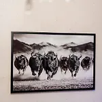Monty's - 10 Guests 7 Beds Centre 度假居 爱丁堡