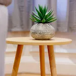 Mcdonalds House 10 Guests 10 Beds 15' Centre 度假居 *