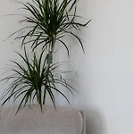 Bright 2 Bedroom Flat On Leith Walk * Edynburg