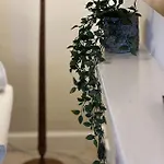 Appartement The Garden Flat *