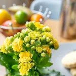 Centre 2br 아파트