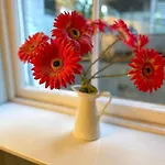 Appartement The Garden Flat *