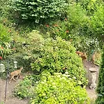 Tranquil 2 Bed Flat, Free Parking, Near Murrayfield & Centre