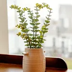 Apartamento Weston's Penthouse Sleep 11, 8 Beds Free Parking *