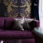 24 Royal Terrace