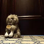 Otel Ocean Mist Leith