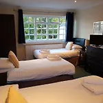 Cedar 3*