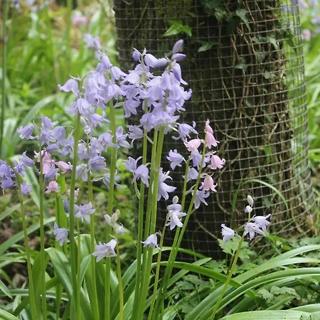 No11 Boutique & Brasserie 酒店 4*