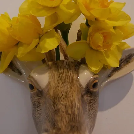 Thistle Centre Édimbourg