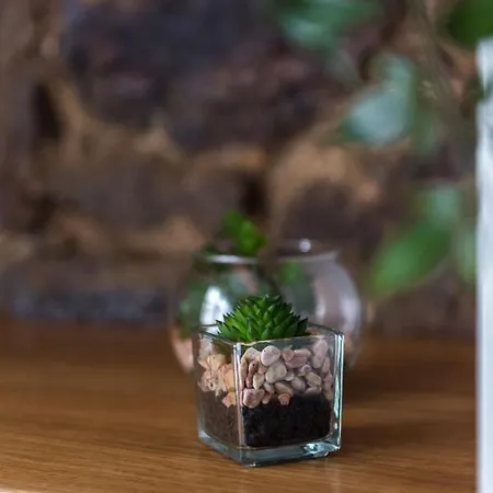 公寓 Luxury Royal Mile Retreat 爱丁堡