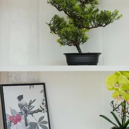 Centre, 5 Star Ground Floor Apartment *