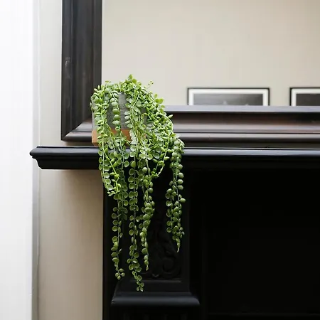 Joivy Modern In Stockbridge * Édimbourg