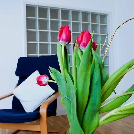 아파트 Palace Residential Lets *