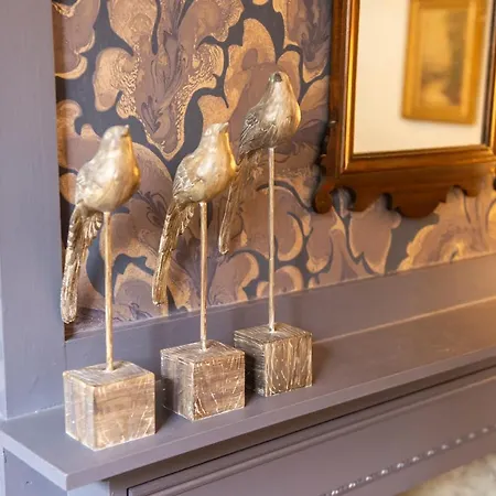 Hamilton Place - Beautiful And With Private Entrance Sleeps 4 * Edinburgh