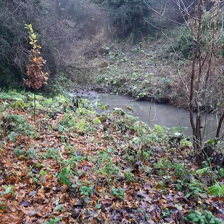 Daiches Braes Brunstane Portobello * Edynburg