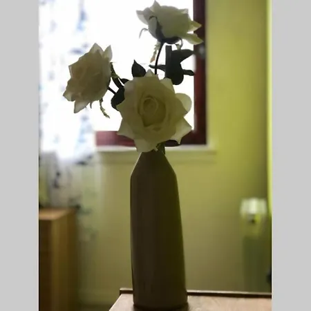 Daire Chic 2 Bed With Free Parking- Recently Redecorated, 10 Minutes To Centre