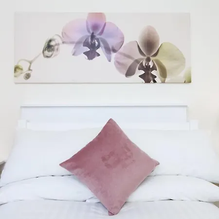 Spacious 4 Bedroom Appartement