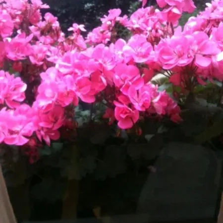 شقة 1 Bedroom On Charming St Stephen Street *