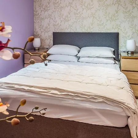 Luxury Main Door Pad With Free Gym & Secure Parking Διαμέρισμα