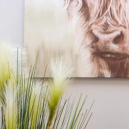 Apartment Joivy 1 Bed Flat, Heart Of Grassmarket Edinburgh