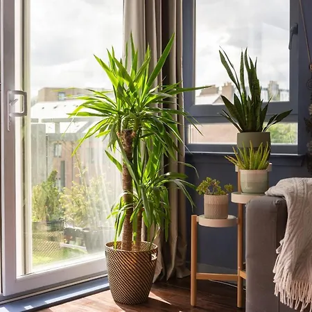 Bright And Spacious Apartment Near City Centre