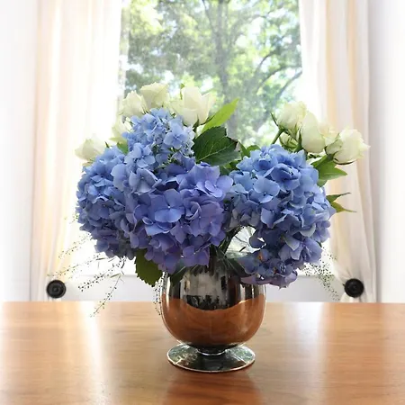 Lejlighed Joivy Fantastic New Town Flat With Shared Garden Edinburgh