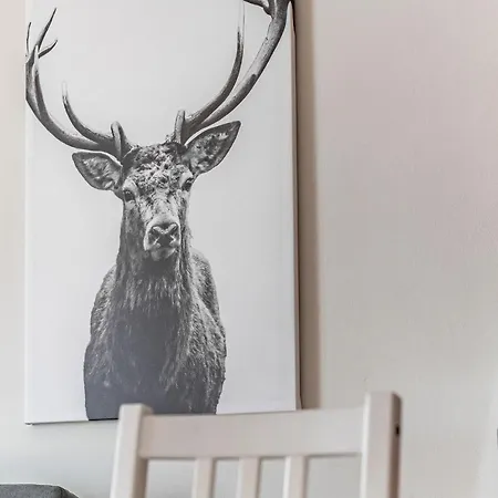 Amazing - Cables Wynd Near The Shore - Free Parking * Edinburg