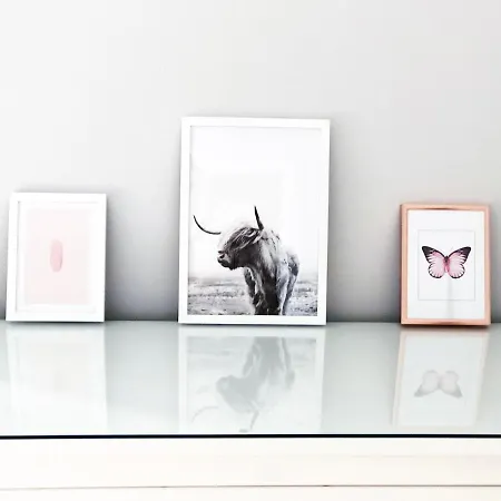 Stylish Centre - D Terrace Daire *