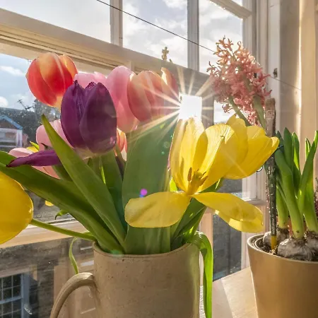 Pass The Keys Cosy And Stylish Open Plan Studio In New Town * Edimburgo